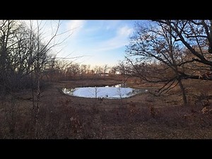 Fens as a Natural Wonder