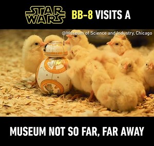 519K views · 285 shares | May the force be with you this season.  By Museum of Science and Industry, Chicago | 9GAG | Facebook