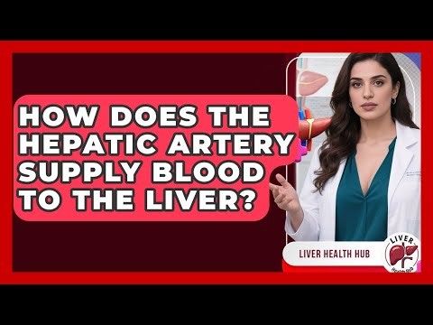 How Does The Hepatic Artery Supply Blood To The Liver? - Liver Health Hub