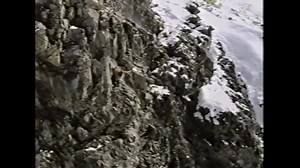 21K views · 199 reactions | As they say “a leopard will never change it’s spots” This now almost 20 year old video of our current Minister of Conservation Eugenie Sag, makes this pretty apparent. | PointsSouth | Facebook