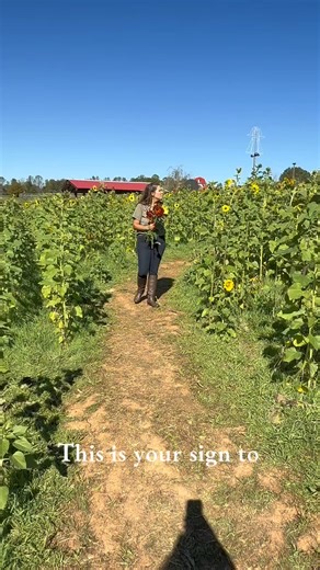 🪧This is your sign to visit The Farm this fall! Open Friday-Sunday through November 2!🎃🌻 #thefarmdobson #fallatthefarm #appleciderdonuts #cornmaze #upickfarm | The Farm