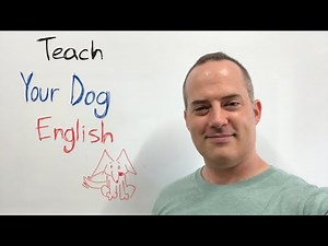 How To Teach Your Dog English