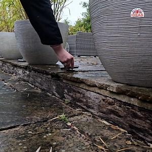 59K views · 124 reactions | 朗 Star Bright Swivel Lights: SUPER-BRIGHT next generation solar powered LED lights specifically designed for the British weather⭐  Buy from a trusted Family-run UK business musthaveideas.co.uk/products/star-bright-swivel-light | Must Have Ideas UK | Facebook