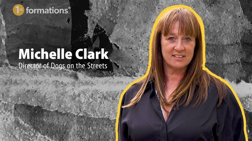 Dogs on the Streets Case Study Feature