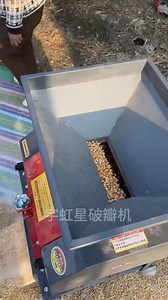 75K views · 327 reactions | #CornCutler #CornCutler #SheepFarming #FeedProcessing #Fattening Sheep | New Tecnology | Facebook