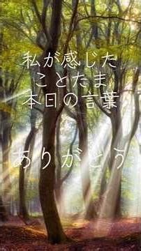 私が感じた ことたま｜本日の言葉「ありがとう」