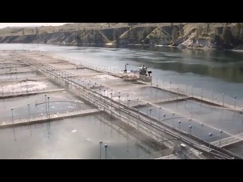 How Columbia River Steelhead are Sustainably Raised from Farm to Plate | Full Documentary