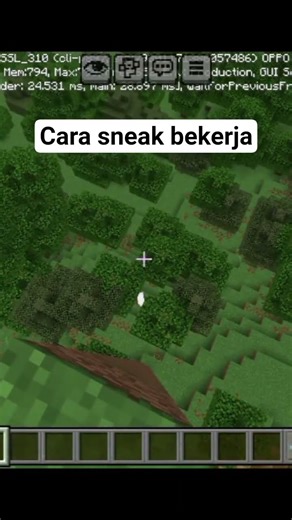 cara sneak bekerja di Minecraft