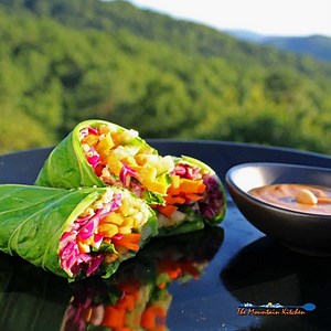 Rainbow Roll-Ups With Peanut Sauce {A Meatless Monday Recipe