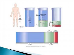 Body Fluid Compartments