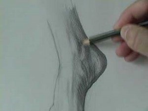 Drawing Tutorials Online.com Learn How to Draw the Foot