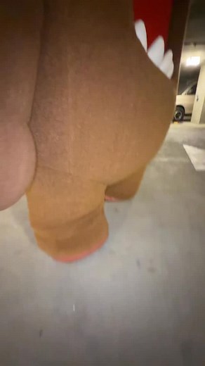 246K views · 7.2K reactions | Domo wants to show you his walk! #domo #domokun | Domo | Facebook