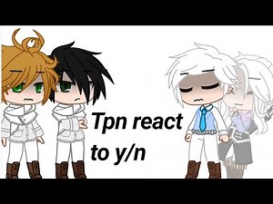 Tpn react to y/n (m!y/n and f!y/n)