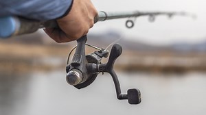 Scientists find ‘alarming’ prescription drug levels in fish