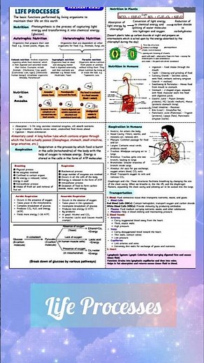 Master Life Processes in Minutes! 🧬 | Class 10 Biology Quick Revision