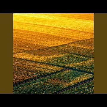 茅屋为秋风所破歌