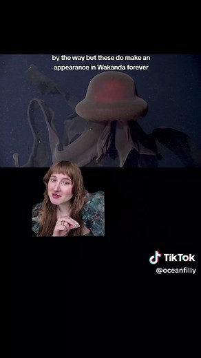 Giant Phantom Jelly: Learn Marine Biology Basics with Mariah Serrano