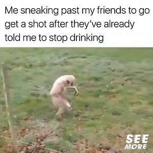 Just about every festival at 5 A.M. right?  | Croatia Music Festivals | Facebook