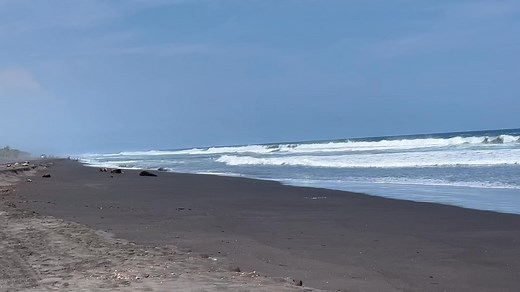 ¡Increíble! La ola verde de Cuyutlán, Armería, Colima. | Colima de Ayer