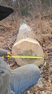 Log buyers wanted . #timber #timberbuyers #logging | Eli Miller
