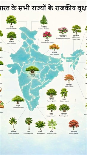 All State Trees of India 🌳🇮🇳 | 99% People Don’t Know This! #Shorts