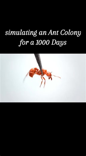 Simulating an Ant 🐜 Colony for 1000 Days #dubai #squidgame #foryou #africa #fyp