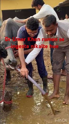 Impaction of rumen l dr Umar Khan