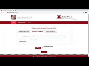 Servicio de Consulta de Registro de Deudores Alimentarios Morosos Google Chrome 2021 02 06 10 33 3