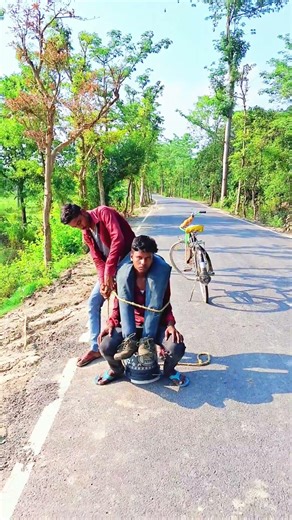 #tiktok #reels #tiktokvideo #टिकटोक #comedy #funny #video #trending #viral #shorts #ytshorts y😸