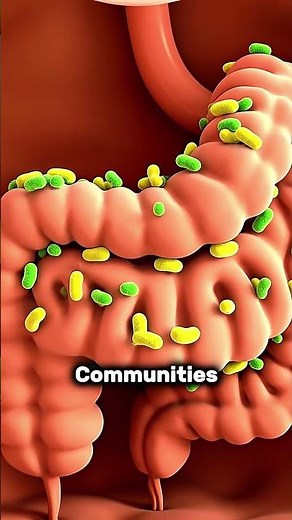 What Yogurt Does Inside Your Body Probiotics, Gut Microbiome, and Hidden Health Benefits