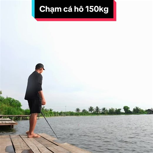 Bị kéo bay xuống hồ khi chạm mặt cá hô ~ 150kg #lkhoa