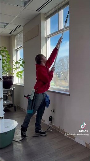 Window Cleaning with FISH