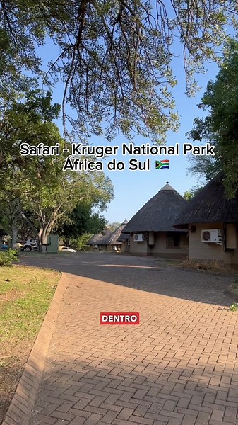 Experiência Única de Safari no Parque Nacional Kruger