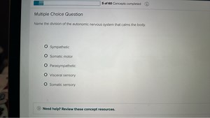 Name the division of the autonomic nervous system that calms th... | Filo