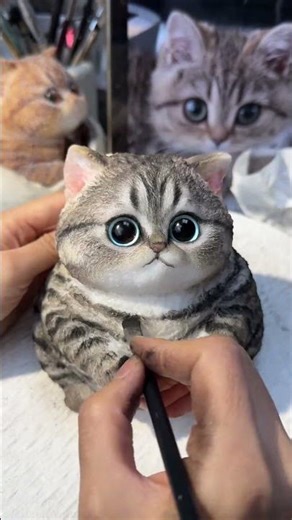 Create a cute little cat.#cat #cute #adorable #diy #funny