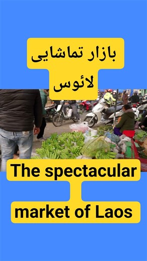 بازار لائوس در قلب آسیا تماشایی ست|| The Lao market in the heart of Asia is spectacular. Shorts