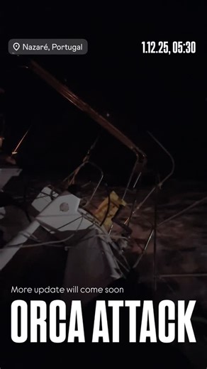 Spiral of Life | Sailing on Instagram: "Orca attack in Portugal, Nazare. 01.12.2025, 05:30 AM in full darkness… We will share more details as soon as we sort out paper work, other stuff. #orcaattack #orca #orcaattacklive #sailinglife #sailboat"