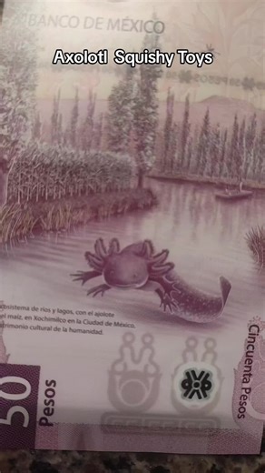 Axolotl Unicorn Squishy Toys #axolotlsquishy #axolotlsquishytoys