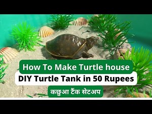 Set Up the Perfect and healthy Turtle Tank|Kachua Ghar kaise Banaye| Rahaman Petsworld | Hindi
