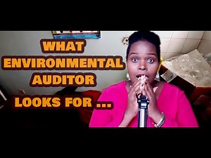 How is an environmental audit done/ what auditors look for.