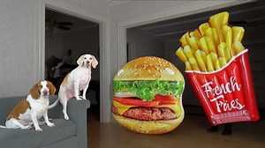 1M views · 8.5K reactions | Dog vs Giant Burger & Fries Prank | Maymo the Dog | Facebook