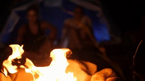 AN EXPERIENCE LIKE NO OTHER. Tickets are selling fast to our Aussie Bush Wildlife Sleepout! on Friday 29th April - don't miss out! BOOK NOW: bit.ly/ARPSleepOut | Australian Reptile Park