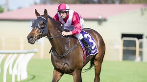 Bruce McAvaney dancing is the best thing you'll see today
