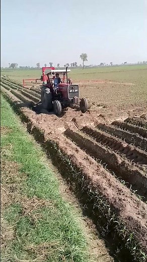 "Tractor Spraying in Corn Field | Maize Crop Weed & Pest Control"