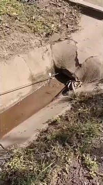 😱technology😱 🙀#youtubeshorts #trendingshorts #techshorts