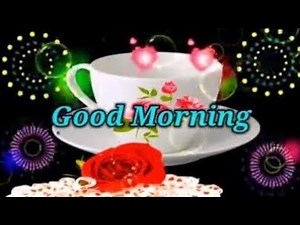 Good Morning status ,🌹Good Morning shayari ,🌹 Good Morning video , 🌹Good Morning