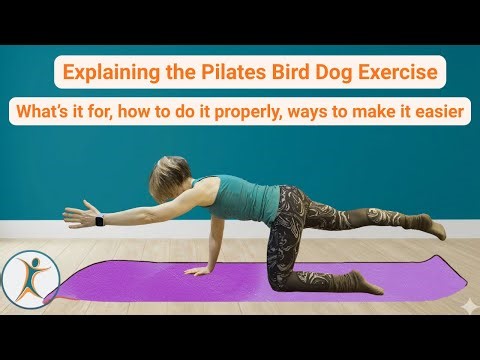 Pilates Bird Dog Exercise. What it is for, how to do it, tips if you need to modify & make easier.