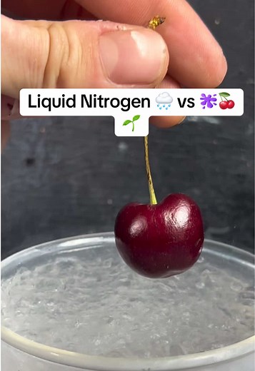 Liquid Nitrogen Experiment: The Science Behind the Freeze