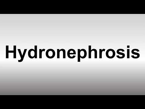 How to Pronounce Hydronephrosis