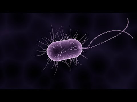 Wie das Leben auf der Erde entstand Doku ►►Universum Weltall HD NEU 2018◄◄